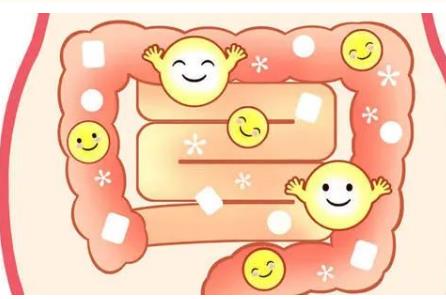 益生菌&乳鐵蛋白，完美護(hù)腸搭檔，增強(qiáng)免疫力，為寶寶健康保駕護(hù)航！